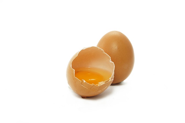 protein