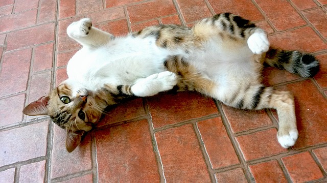stretching